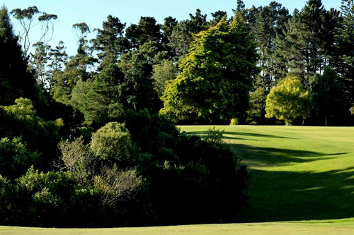 royal-auckland-and-grange-golf-club_3.jpg