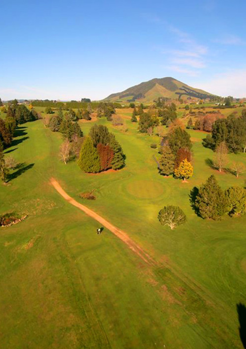 Stewart Alexander Golf Club