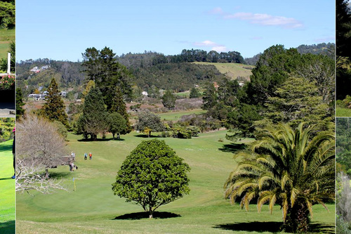tairua-golf-club_2.jpg
