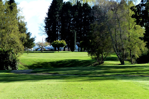 taupo-golf-club_3.jpg