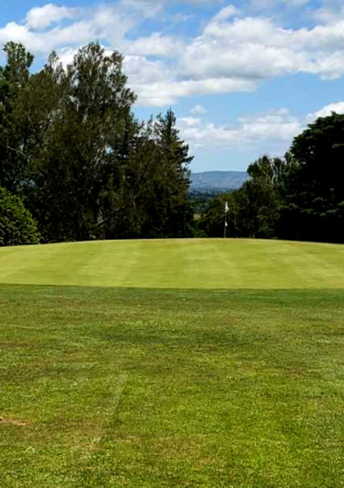 Te Aroha Golf Club