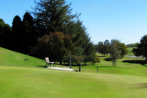 tokoroa-golf-club_1.jpg