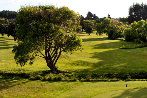 waikanae-golf-club_2.jpg
