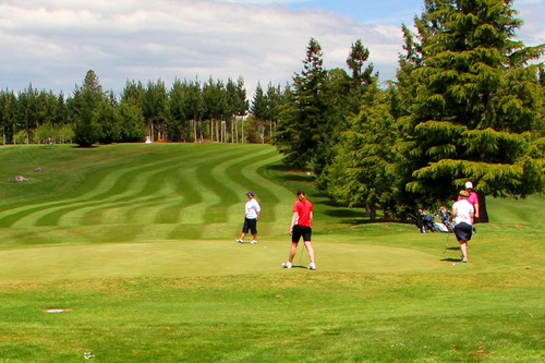 Waimate Golf Club