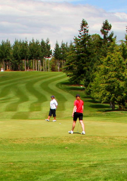 Waimate Golf Club