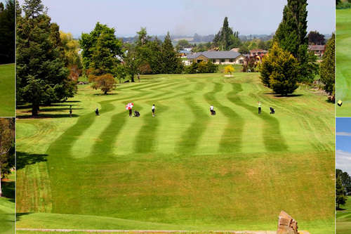 waimate-golf-club_2.jpg