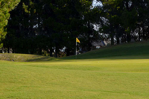 waimairi-beach-golf-club_5.jpg