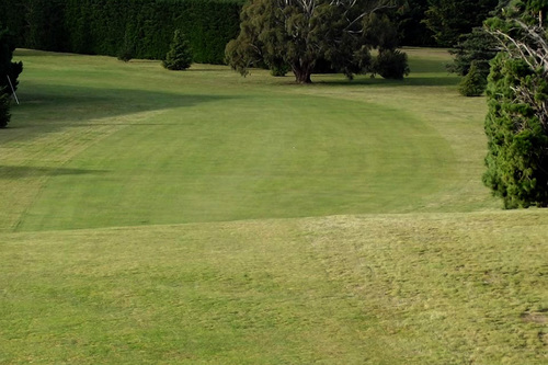 waimakariri-golf-club_2.jpg