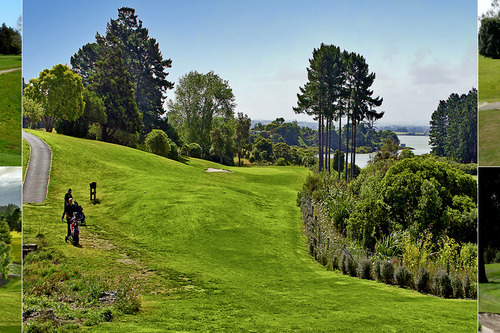 waiuku-golf-_-squash-club_2.jpg