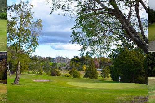 wellsford-golf-club_1.jpg