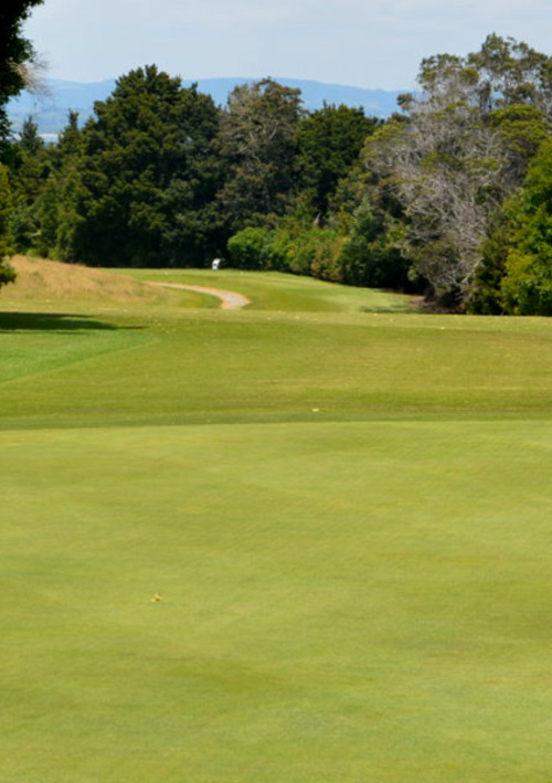 Whangarei Golf Club