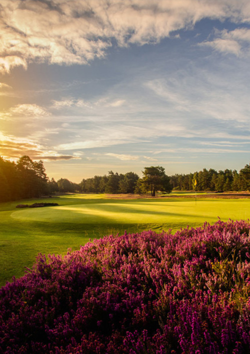 Sunningdale Golf Club (New Course)