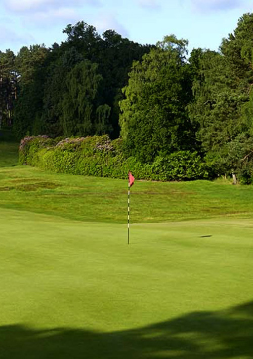 Swinley Forest Golf Club
