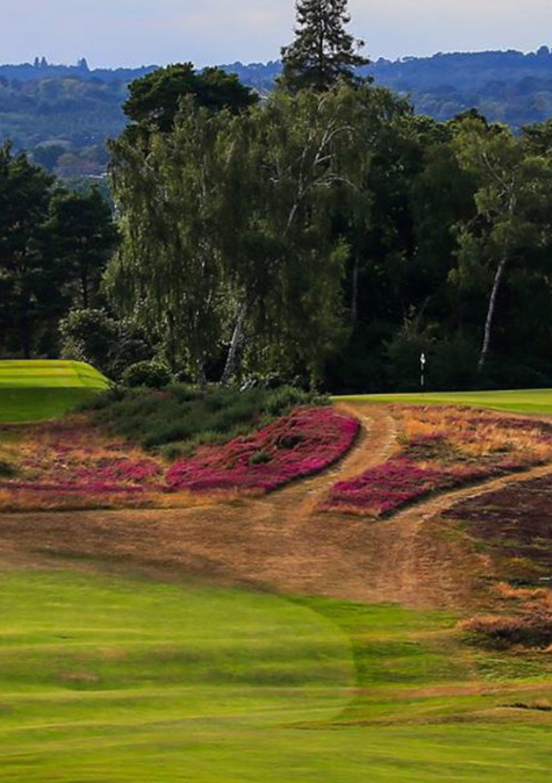 St George's Hill Golf Club