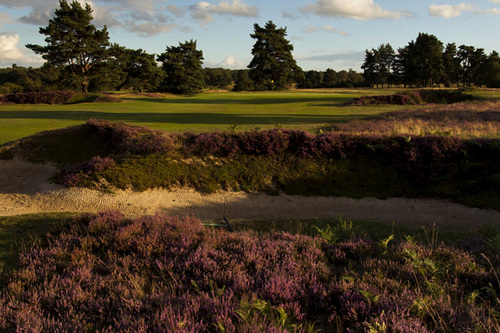 walton-heath-golf-club-old-course_5.jpg