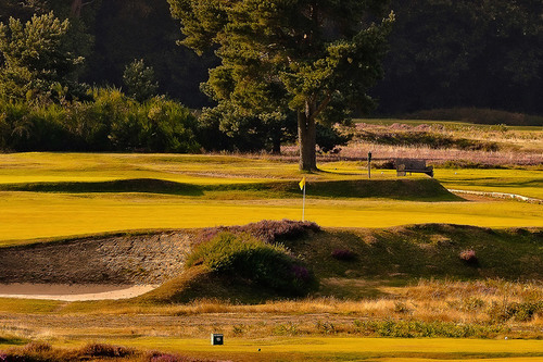 walton-heath-golf-club-old-course_2.jpg