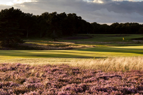 walton-heath-golf-club-old-course_7.jpg
