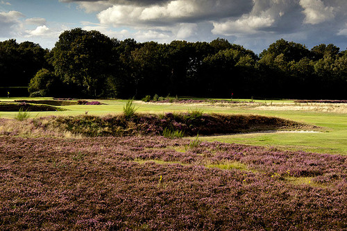 walton-heath-golf-club-old-course_1.jpg