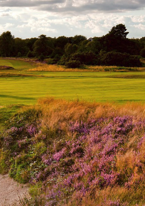 Walton Heath Golf Club (Old Course)
