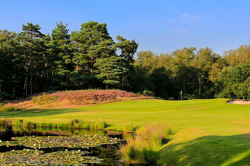 west-sussex-golf-club_1.jpg