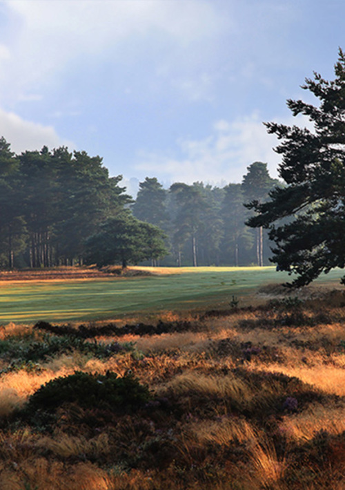 Hankley Common Golf Club