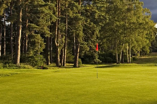worplesdon-golf-club_3.jpg