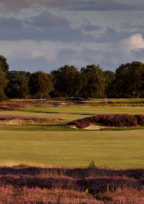 Walton Heath Golf Club (New Course)