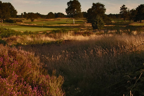 walton-heath-golf-club-new-course_5.jpg