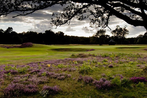 walton-heath-golf-club-new-course_3.jpg