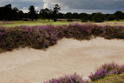 walton-heath-golf-club-new-course_4.jpg
