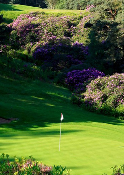 Woburn Golf Club (Duke's Course)