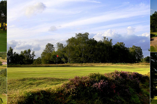 royal-ashdown-forest-golf-club-old-course_1.jpg