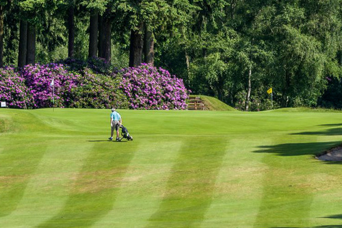 liphook-golf-club_4.jpg