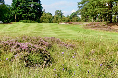 liphook-golf-club_7.jpg