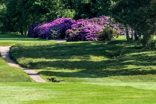liphook-golf-club_2.jpg