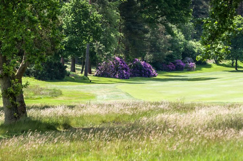 liphook-golf-club_9.jpg