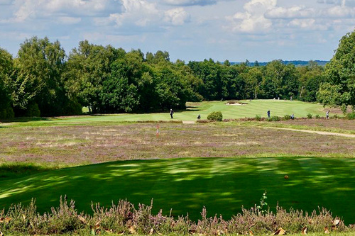 liphook-golf-club_3.jpg