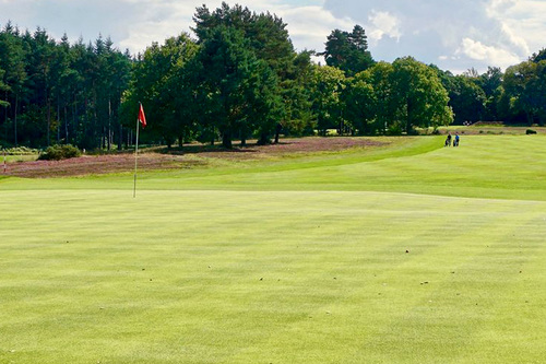 liphook-golf-club_8.jpg