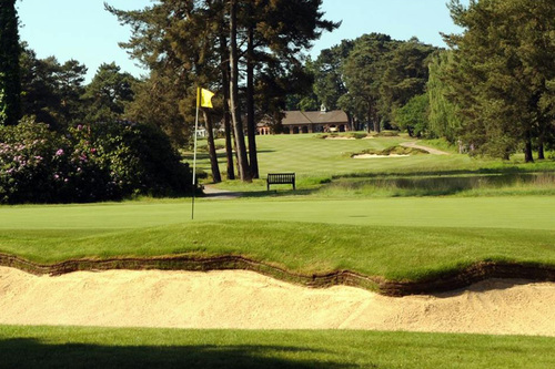 ferndown-golf-club-old-course_1.jpg