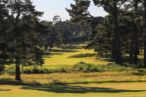 ferndown-golf-club-old-course_8.jpg
