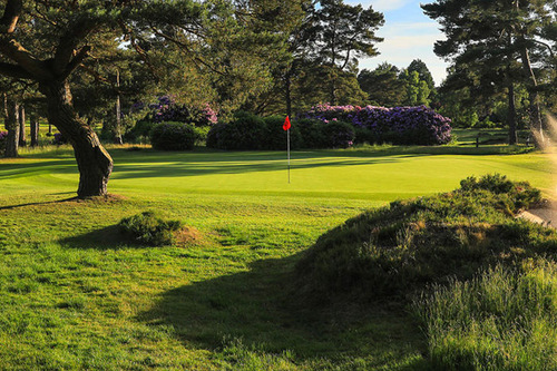 ferndown-golf-club-old-course_7.jpg