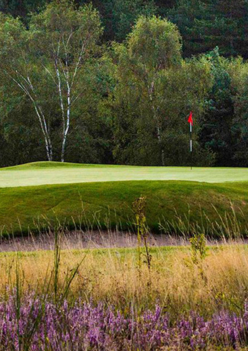 Sherwood Forest Golf Club