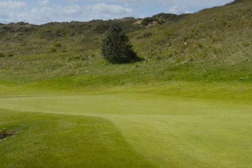 saunton-golf-club-west-course_1.jpg