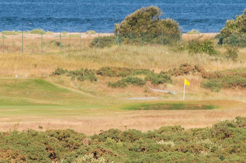 hayling-golf-club_3.jpg