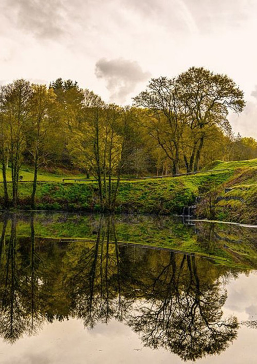 St Mellion Golf & Country Club (Nicklaus Course)