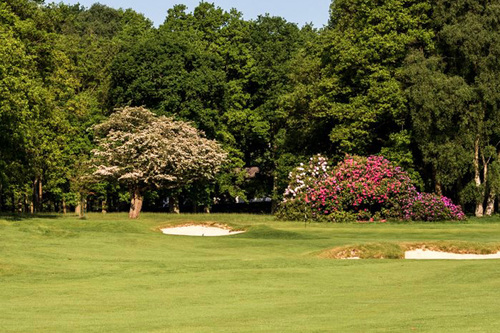 ashridge-golf-club_6.jpg