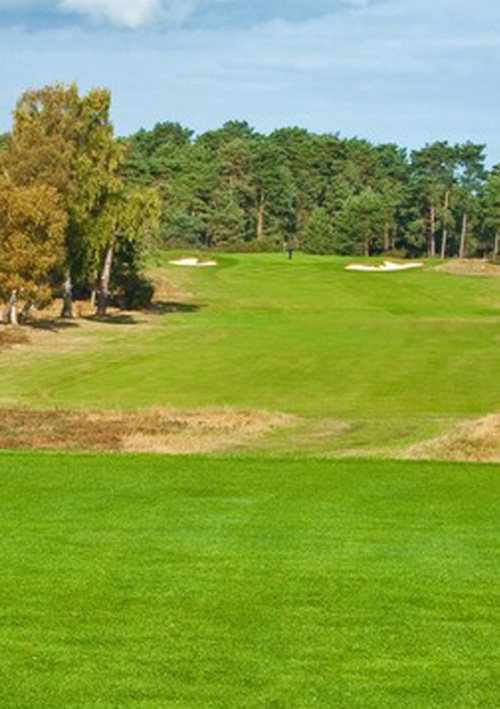 Blackmoor Golf Club