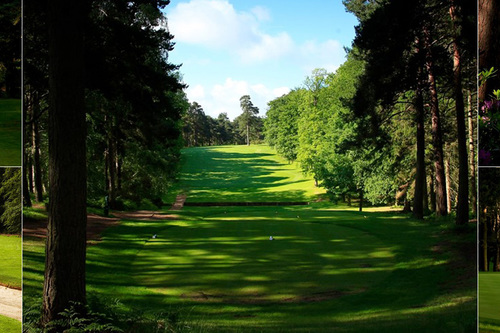 Woburn Golf Club (Duchess Course)