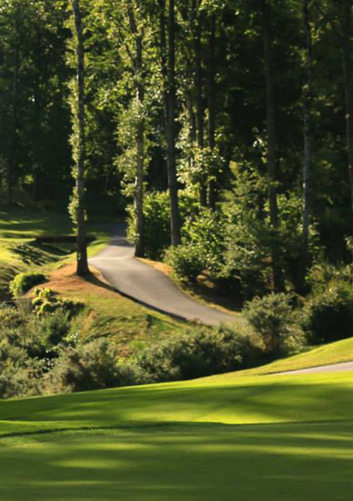 Close House Hotel & Golf (Lee Westwood Colt)