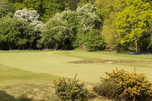 huntercombe-golf-club_3.jpg